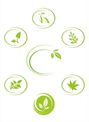 leaves, plant, icons , nature, Eco friendly business logo	