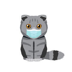 Vector illustration of a funny lop-eared scottish fold cat in medical mask isolated on white background