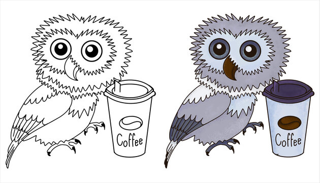 Vector cool owls in color and line art. For coloring, posters, logo, print, t-shirt design element