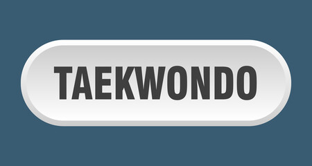 taekwondo button. rounded sign on white background