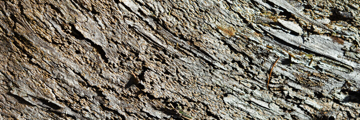old wood texture