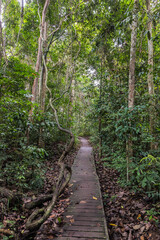 Taman Negara National Park and boottrip on the Tembeling river