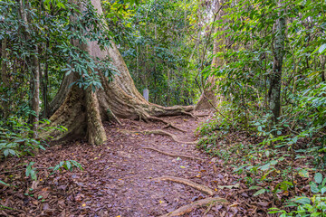 Taman Negara National Park and boottrip on the Tembeling river