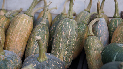Arrangement of pumpkins in the market