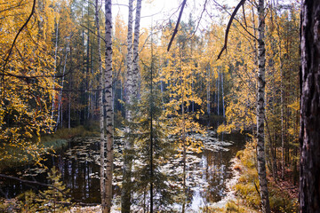 Autumn landscape. Russia. Ural landscape