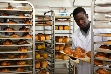 Experienced african american baker placing tray with freshly baked rolls on rack trolley in small...