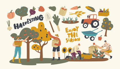 Farmer Characters Working on Garden or Orchard Harvesting Crop. Gardeners Collect Fruit and Vegetable, Farm Production