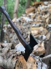 axe in log