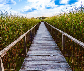 Fototapeta premium Landscapes of the Lake Tisza in Hungary