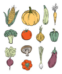 Set of Hand drawn Vegetables, Vector Illustrations