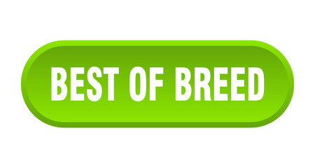 best of breed button. rounded sign on white background