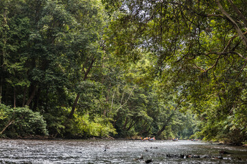 Taman Negara National Park and boottrip on the Tembeling river