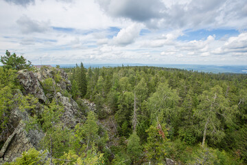 view from the mountain to the forest