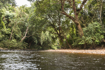 Taman Negara National Park and boottrip on the Tembeling river