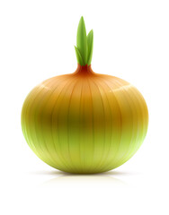 Onion