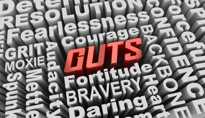 Guts Courage Bravery Mettle Fearless Qualities Words 3d Illustration