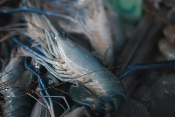 Fresh raw shrimps for sale in seafood market