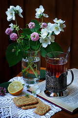 A glass of tea on a book with a bouquet of Apple flowers