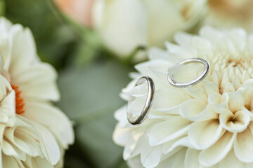 two wedding rings and beautiful flower bouquet, close-up