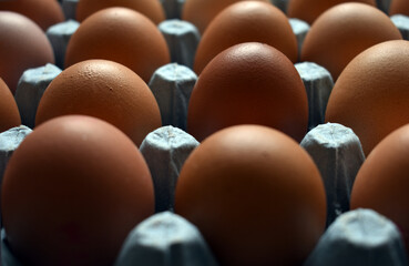 Fresh brown chickens eggs in recycled egg carton from a local farm shop in Northamptonshire, UK.