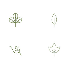 Set Leaf line icons vector leaves logo design