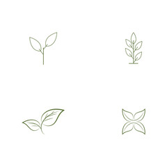 Set Leaf line icons vector leaves logo design