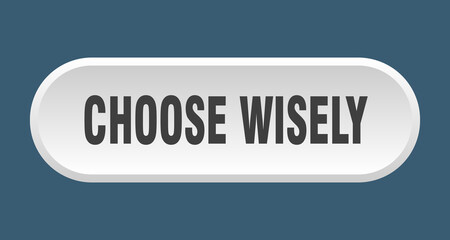 choose wisely button. rounded sign on white background