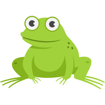 Cute frog vector cartoon illustration isolated on a white background.