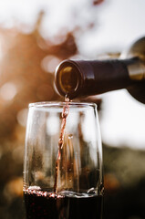 Pouring red wine into the glass against sunset and vine field background