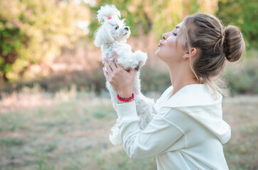 Obraz premium Woman with a Little fashionable luxury lapdog dog at walk, pet lifestyle