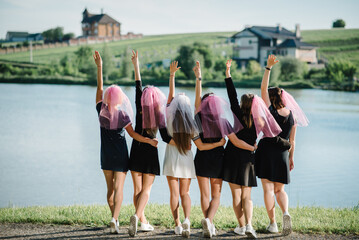 Bride and bridesmaids stands back on a beach and celebrating bachelorette party. Beautiful sexy young girls in dress and veil on bachelor party. Maiden evening, Hen-parties. Close up. Place for text. - obrazy, fototapety, plakaty
