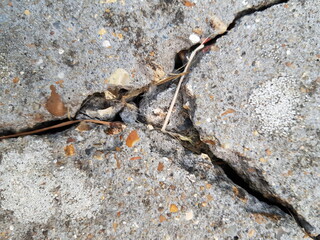 Grey Cracked Weathered Stone Slab Texture
