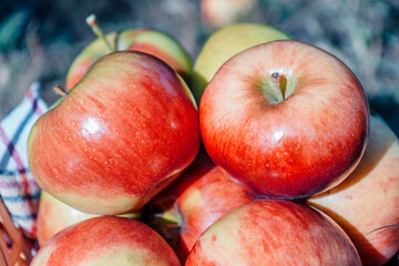 Fototapeta na wymiar Close-up Apples in a basket. Autumn harvest.