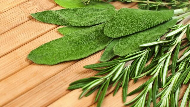 Collection of fresh herbs for cooking isolated on wood background. Bunch of herbs