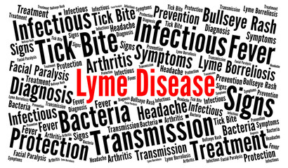Lyme disease word cloud 