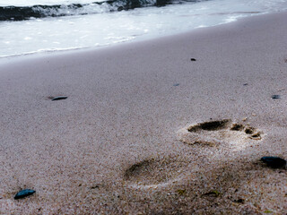 footprints in the sand