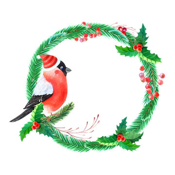 Watercolor Christmas Wreath with Bullfinch,Holly,pine,spruce,leaves,berries on white background.Winter Robin bird with red breast feathers