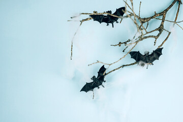 Little toys bats on dry tree branch with spider net for Halloween on blue background