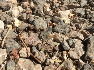 stone wall texture