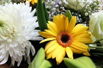 Yellow chrysanthemum daisy flower in a bouquet