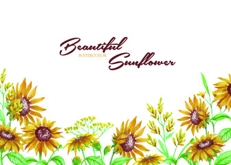 Get Inspired By Watercolor Sunflower Illustrations As Decorations For Creative Typography And Romantic Quotes.