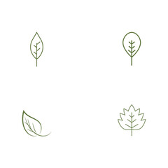 Fototapeta na wymiar Set Leaf line icons vector leaves logo design