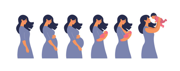 The main stages of pregnancy. Changes in the female body during pregnancy week after week. Set for infographics. Pregnancy Calendar. Flat stock vector illustration.