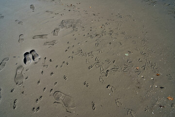 footprints in sand