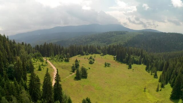 Drone flight over a picturesque summer meadow surrounded by coniferous trees and tree-covered mountain slopes, the Rhodopi Mountains in Bulgaria