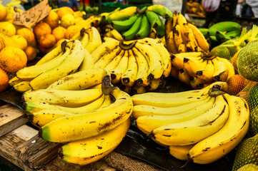 Bananas at a market in San Jose, Costa Rica