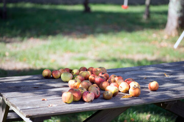 Apples on a wood table 