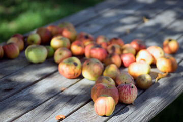 Apples on a wood table 