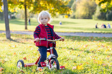 Beautiful blonde two years old toddler boy, riding red tricycle in the park on sunset