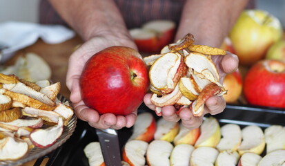 The process of harvesting dried apples.Hobby of an elderly woman. Hands hold a dried and fresh apple on the background of the kitchen table with fresh fruits.